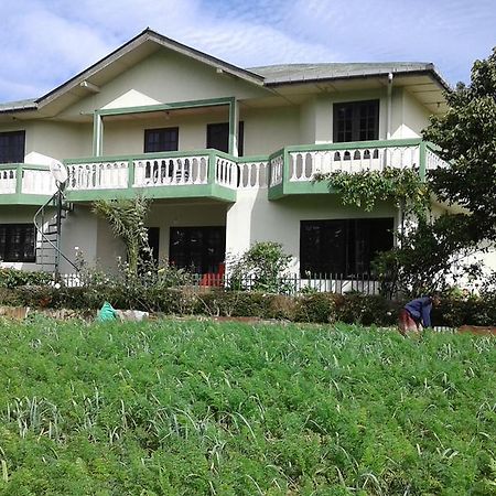 雅芳农场度假别墅旅馆 努沃勒埃利耶 外观 照片