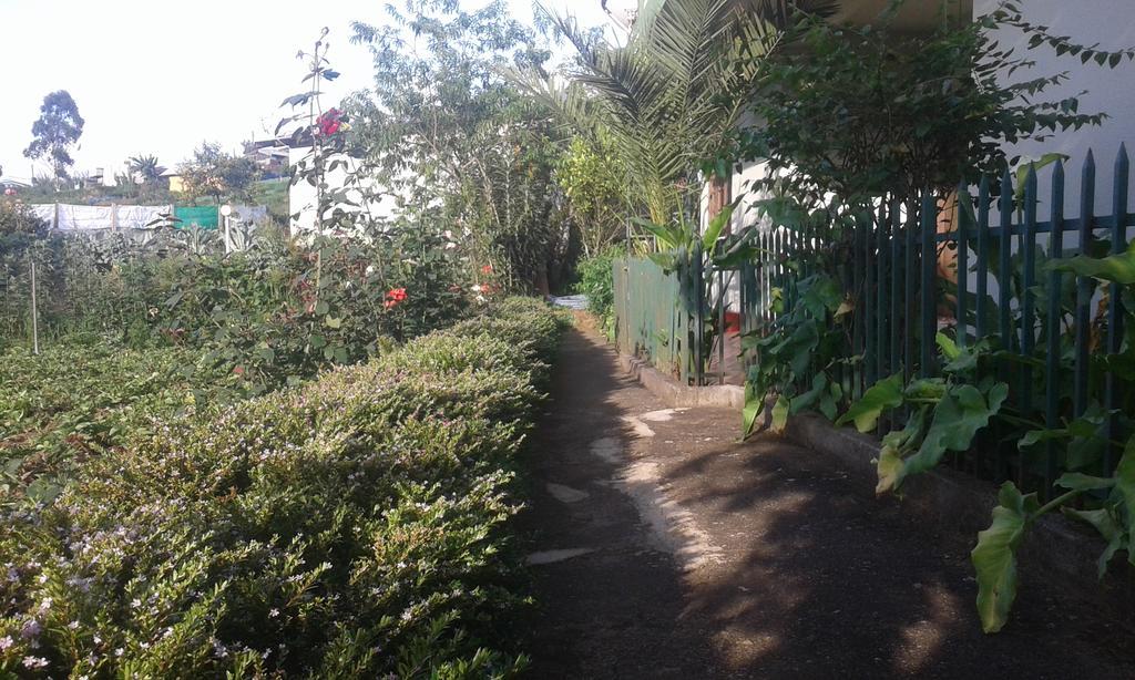 雅芳农场度假别墅旅馆 努沃勒埃利耶 外观 照片