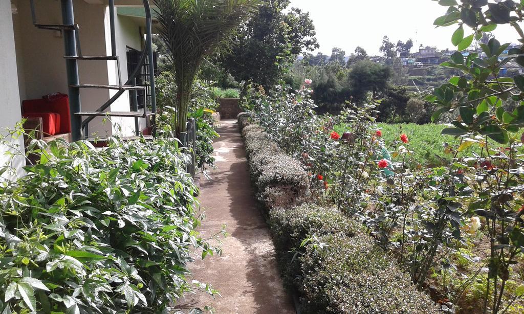 雅芳农场度假别墅旅馆 努沃勒埃利耶 外观 照片