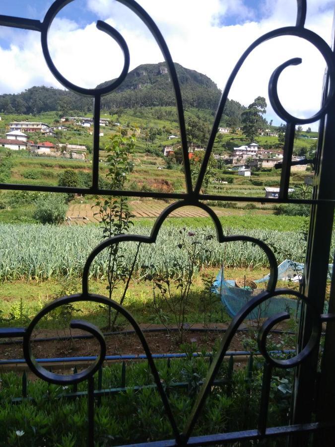 雅芳农场度假别墅旅馆 努沃勒埃利耶 外观 照片